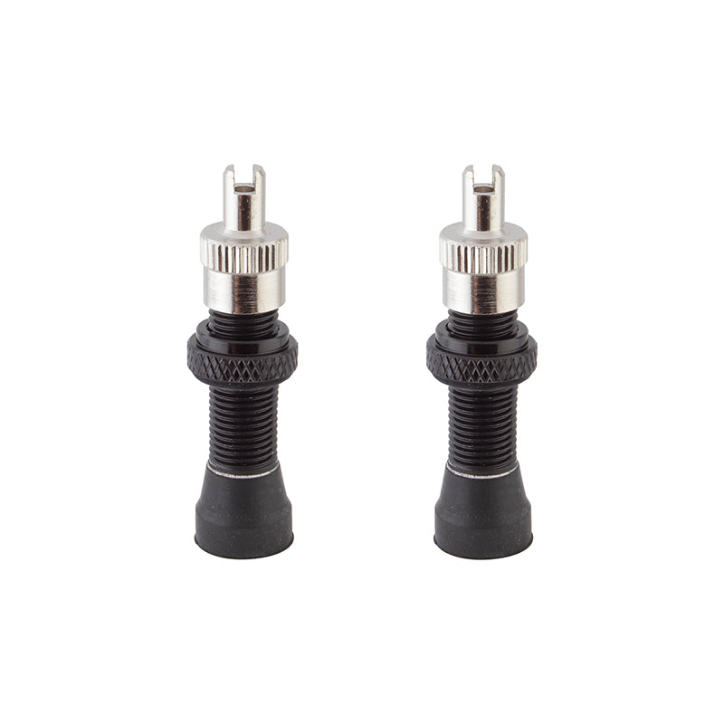 Alienation Tubeless Alloy Schrader Valves (Black Or Silver) - Downtown Bicycle Works 