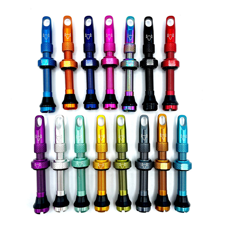 Insert Compatible Tubeless Valves