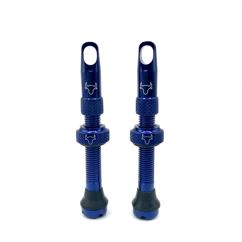 Insert Compatible Tubeless Valves