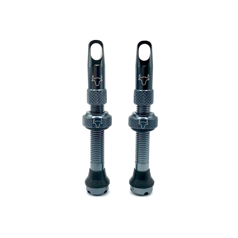 Insert Compatible Tubeless Valves
