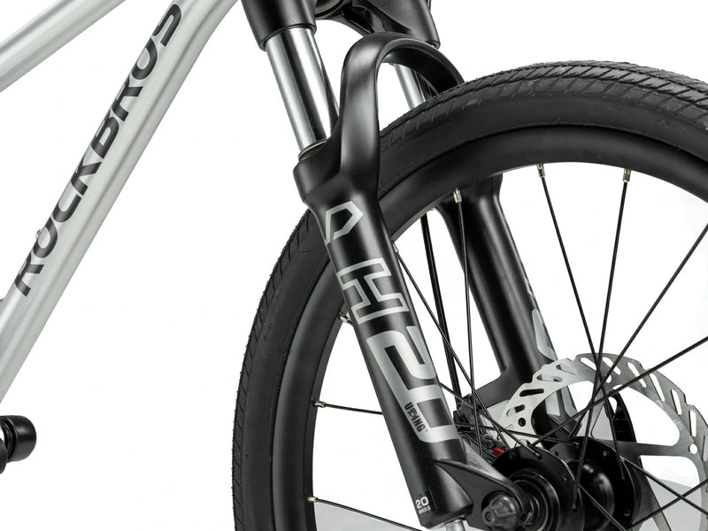 Darwin III 20-Inch Kids Bike