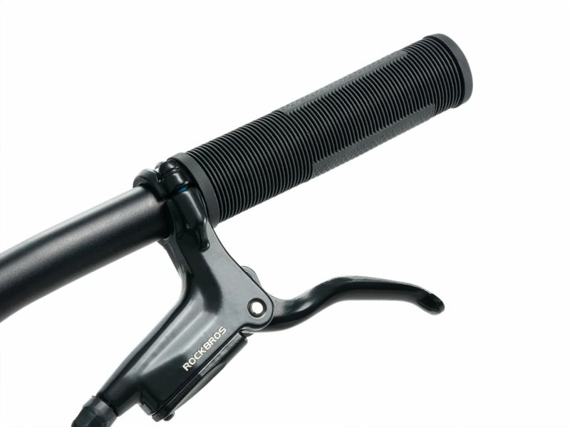 Darwin IV 24-Inch Kids Bike