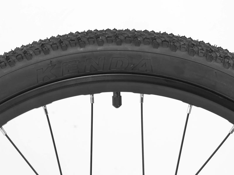 Darwin IV 24-Inch Kids Bike