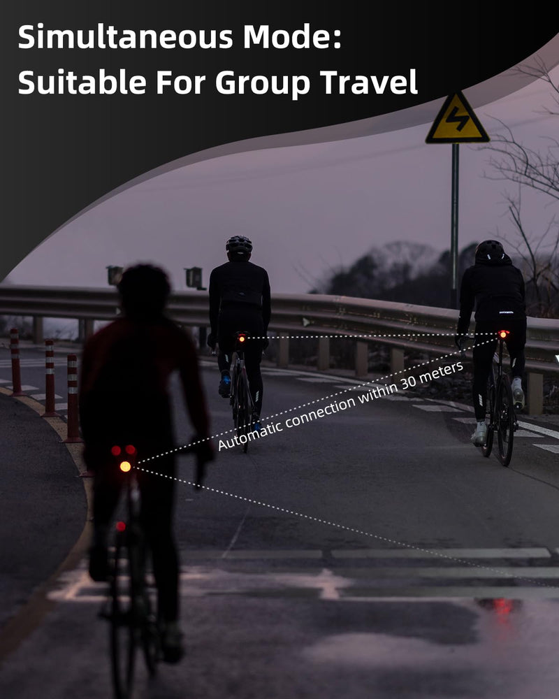 Bike Tail Light Brake Sense USB-C