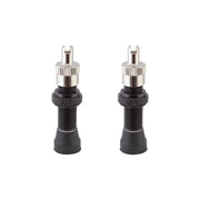 Alienation Tubeless Alloy Schrader Valves (Black Or Silver) - Downtown Bicycle Works 