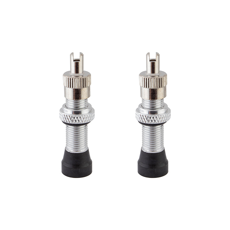 Alienation Tubeless Alloy Schrader Valves (Black Or Silver) - Downtown Bicycle Works 