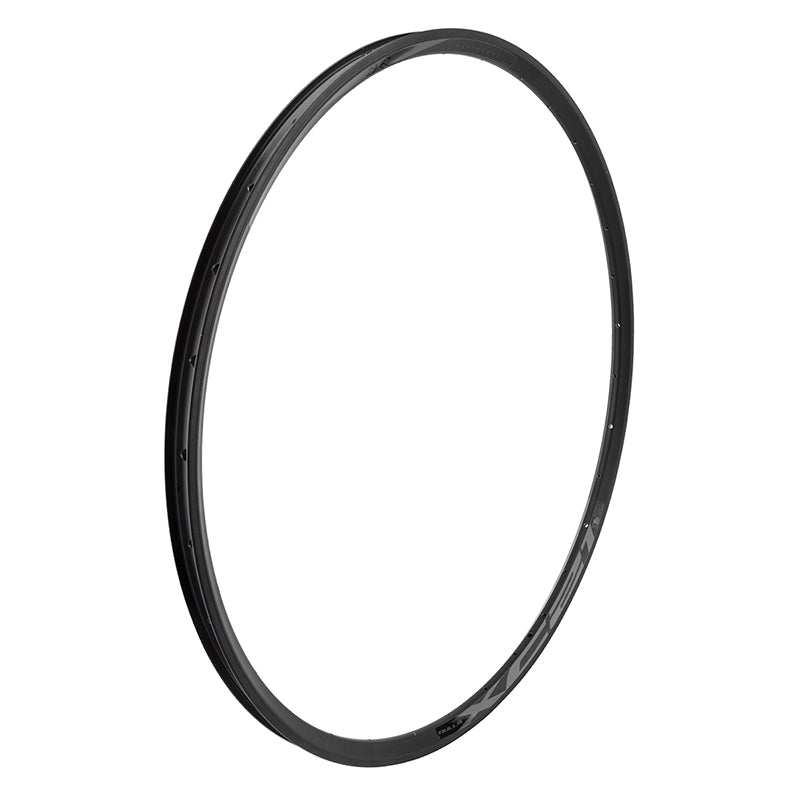 WTB XC21 TCS Double Wall Rim - 29Inch (32H) - Downtown Bicycle Works 