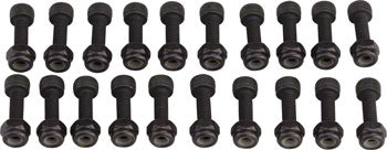 RaceFace Chester Pedal Pin Kit, 20 Pins Black - Downtown Bicycle Works 