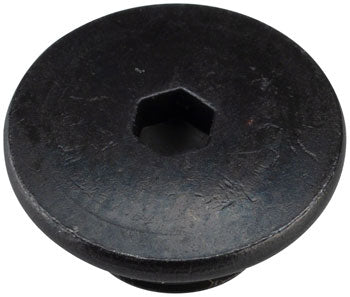 Shimano 105 ST-R7020 Hydraulic Brake/Shifter Bleed Screw and O-Ring - Downtown Bicycle Works 
