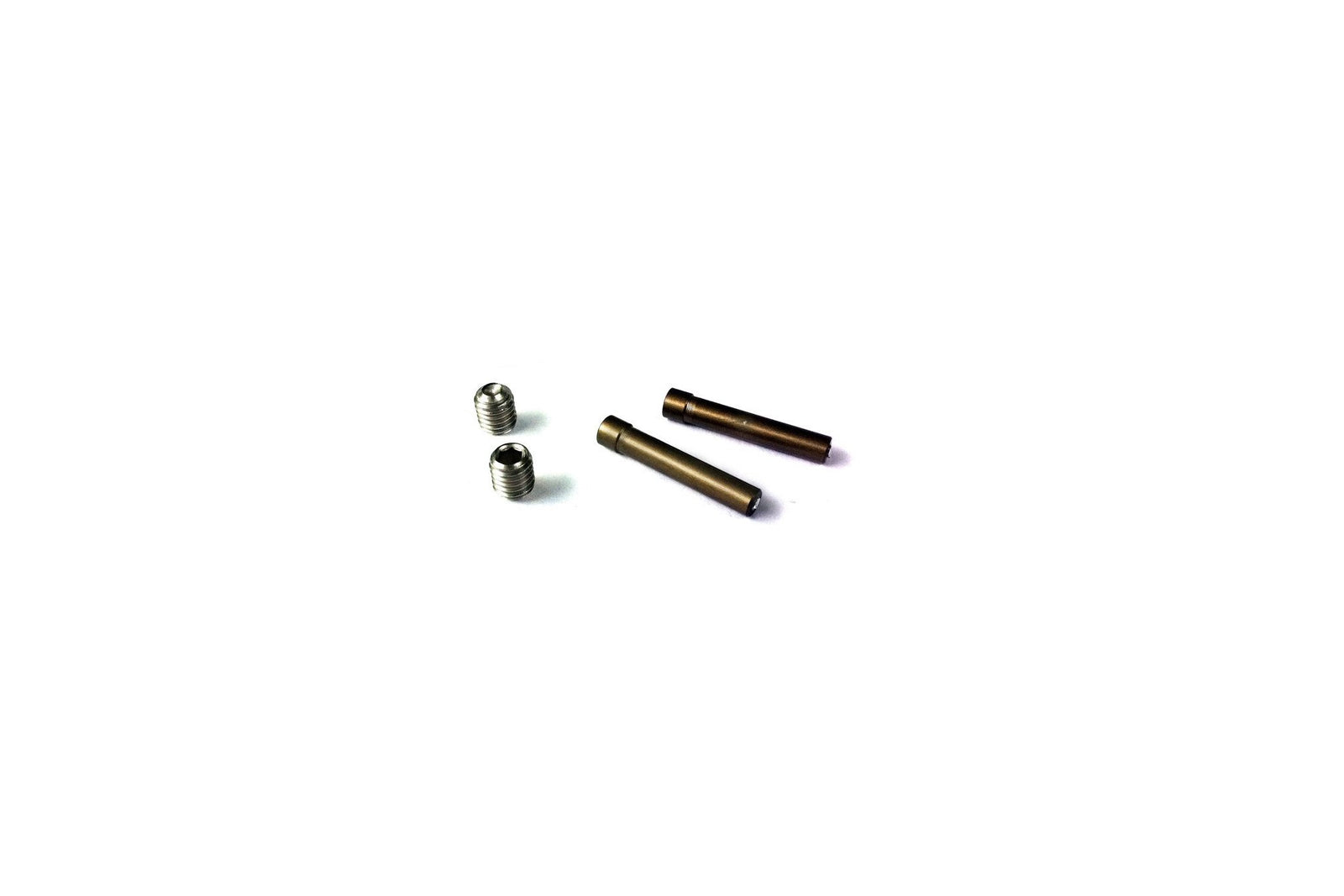 Sunday Replacement Integrated Chain Tensioner (2 Screws + 2Pins) - Downtown Bicycle Works 